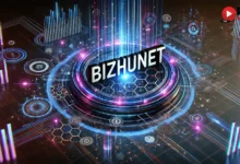 bizhunet