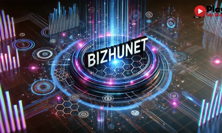 bizhunet